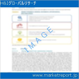 市場と産業調査レポートのイメージ
